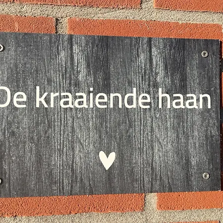 De Loeiende Koe * Liessel