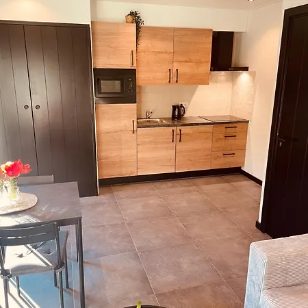 De Loeiende Koe Apartment Liessel